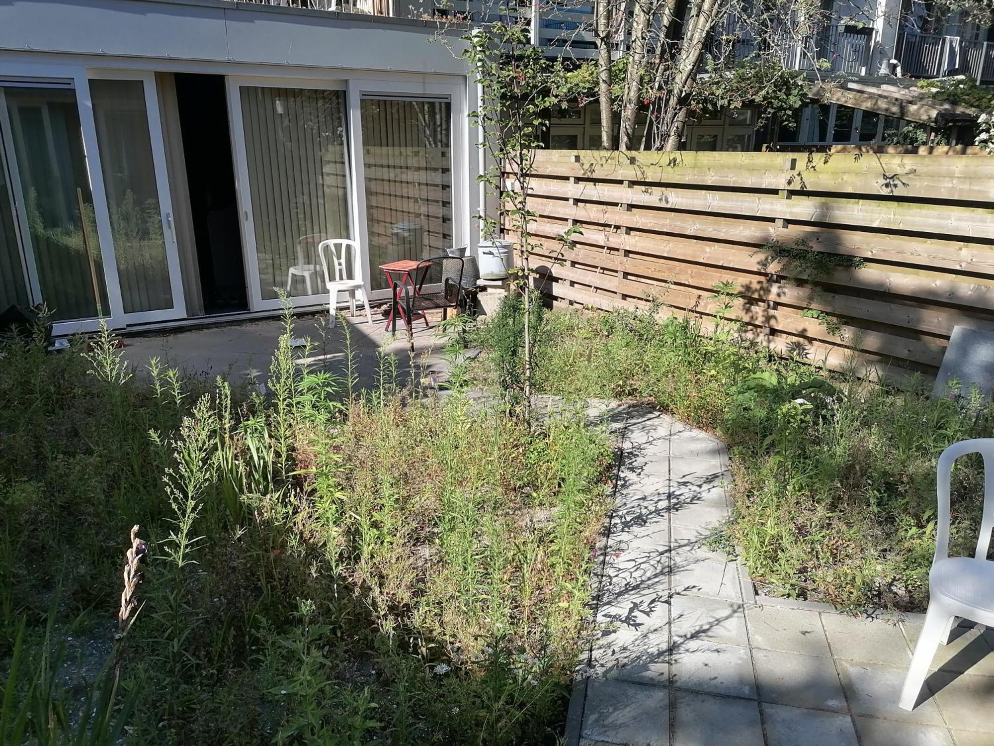Garden House In Amsterdam酒店 外观 照片